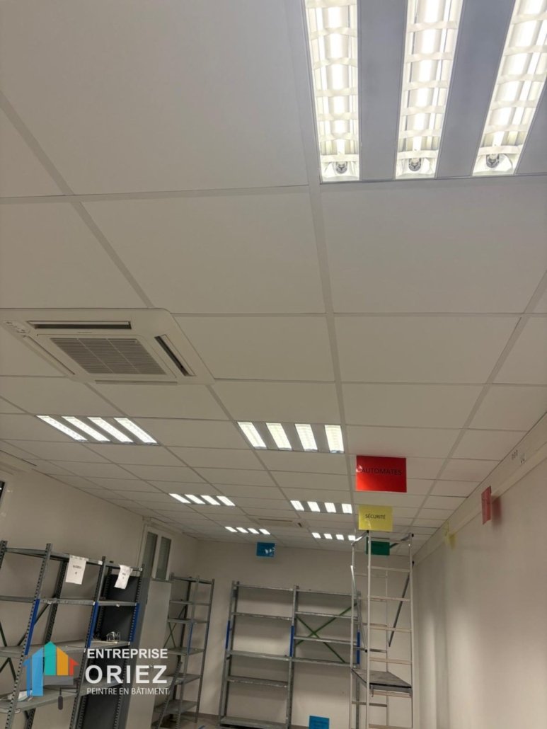 Locaux professionnels, Faux plafond, Rénovation local commercial