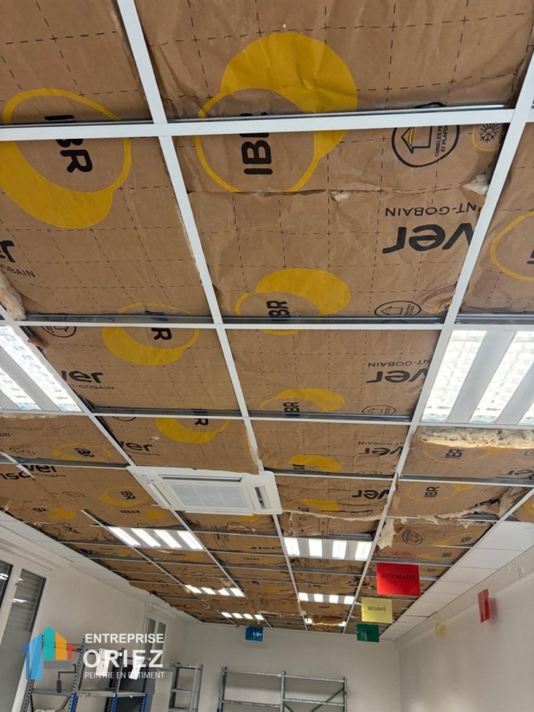 Locaux professionnels, Faux plafond, Rénovation local commercial